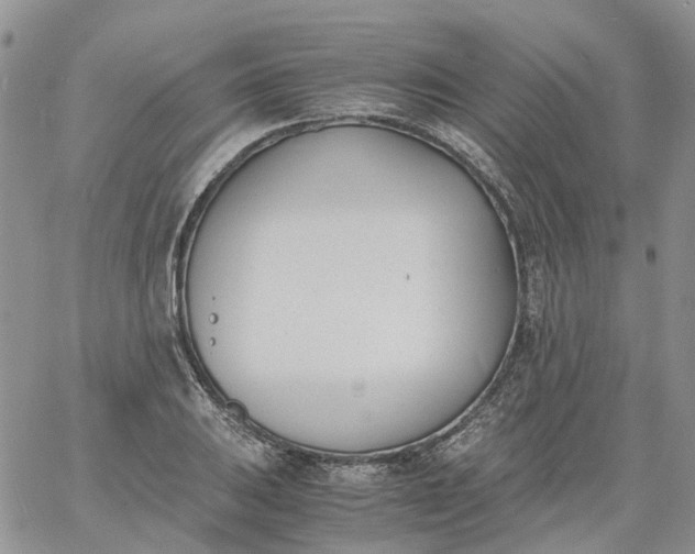 X0000060801031200511241905