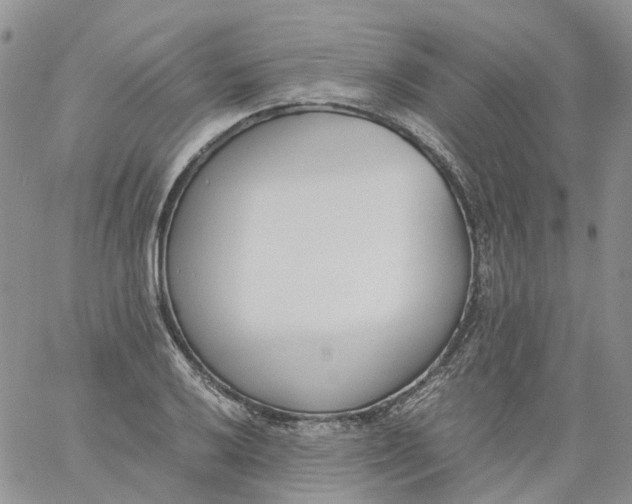 X0000060801032200511241905