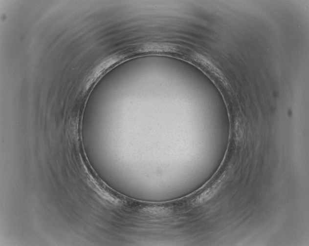 X0000060801033200511241905