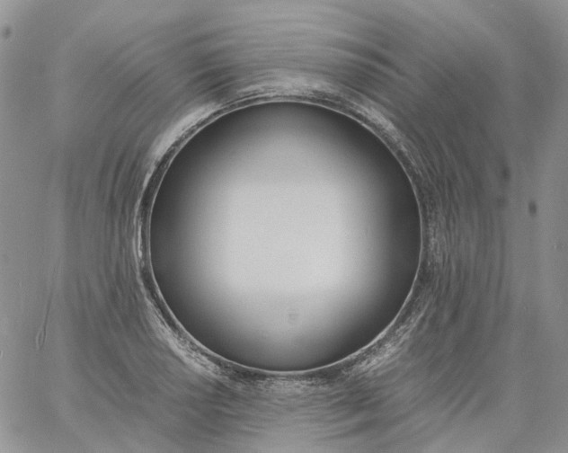 X0000060801034200511241905