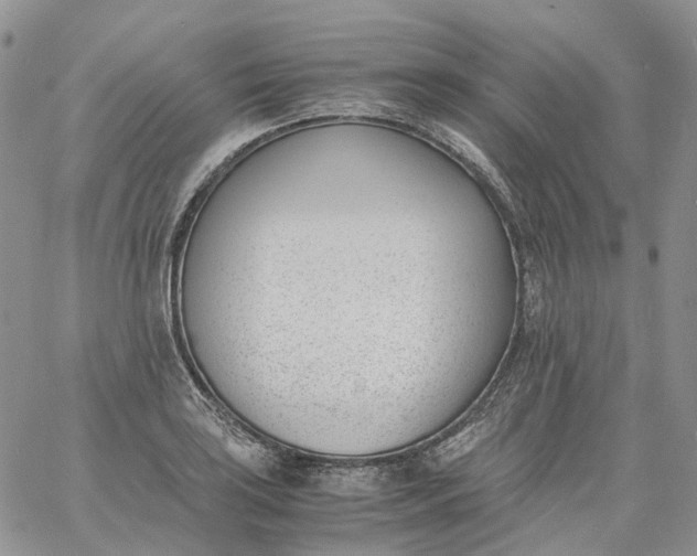 X0000060801035200511241905