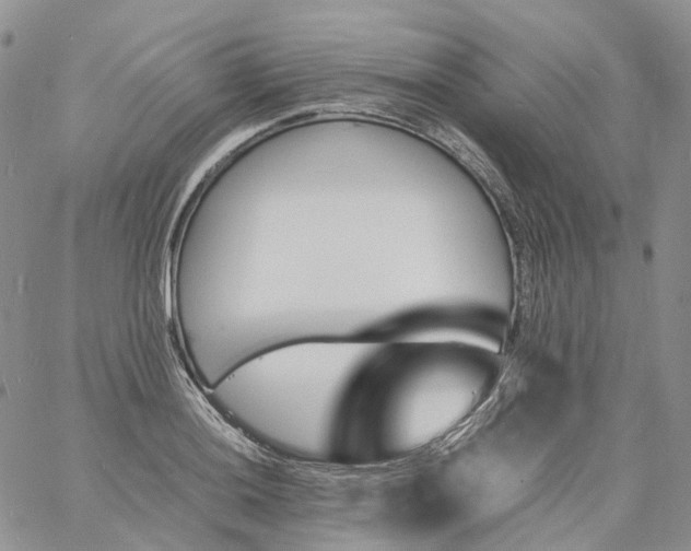 X0000060801036200511241905