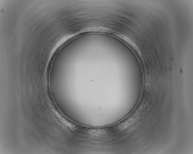 X0000060801037200511241905