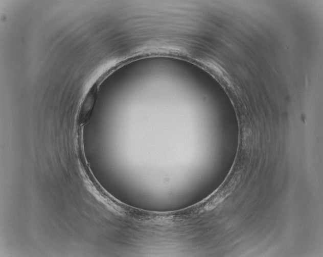 X0000060801038200511241905