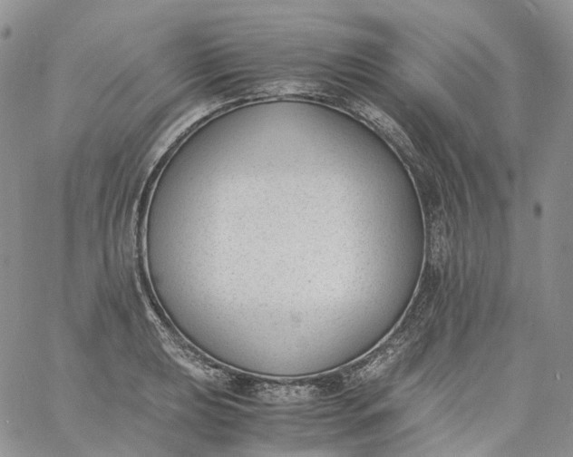 X0000060801039200511241905