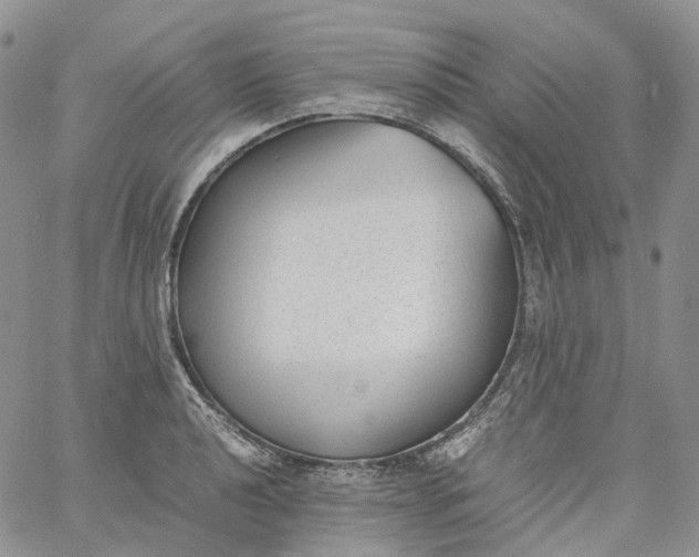 X0000060801040200511241905