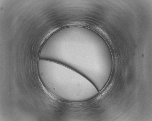 X0000060801041200511241905