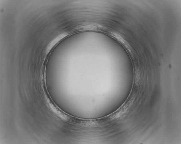 X0000060801042200511241905