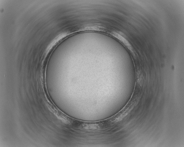 X0000060801043200511241905