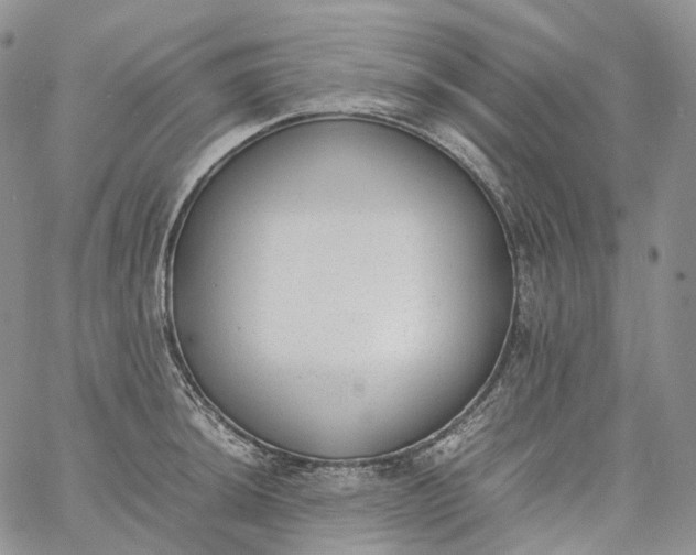 X0000060801044200511241905