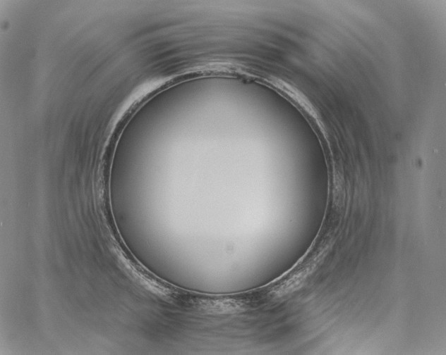 X0000060801045200511241905