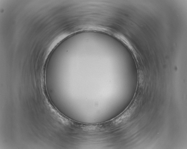 X0000060801048200511241905