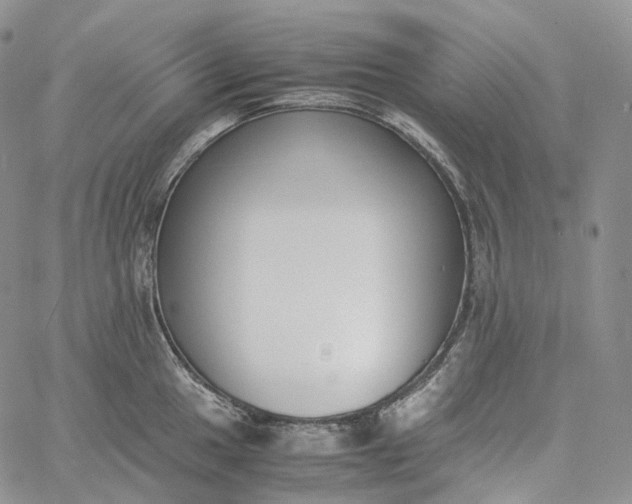 X0000060801049200511241905