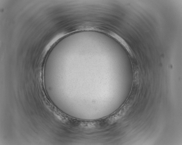 X0000060801051200511241905