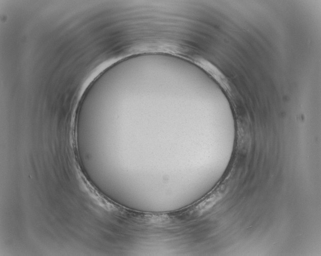 X0000060801052200511241905