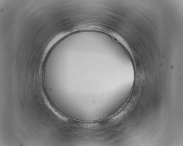 X0000060801053200511241905