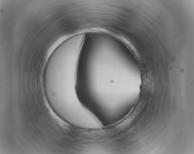 X0000060801054200511241905