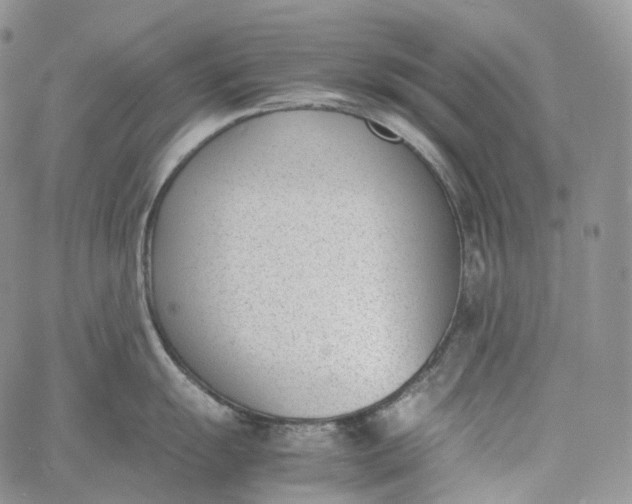 X0000060801055200511241905