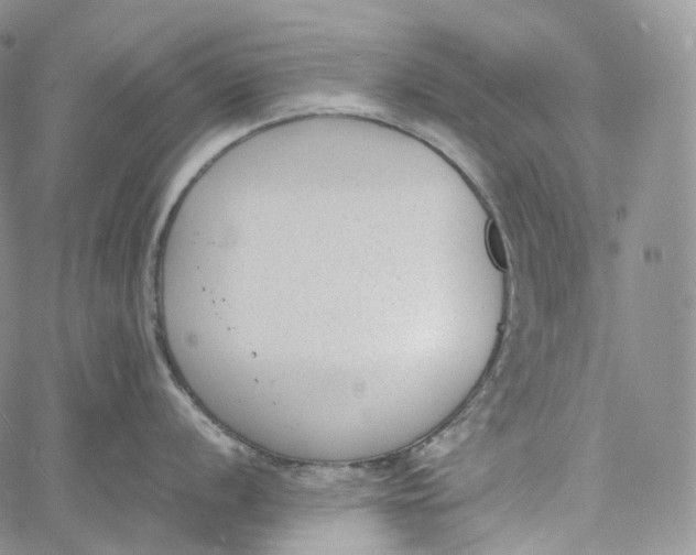 X0000060801056200511241905