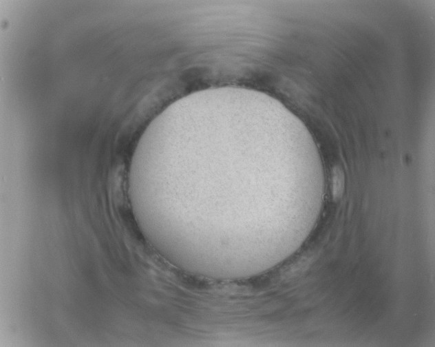 X0000060801059200511241905