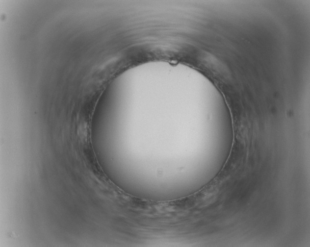 X0000060801061200511241904