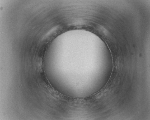 X0000060801062200511241904