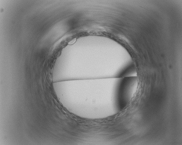 X0000060801063200511241904