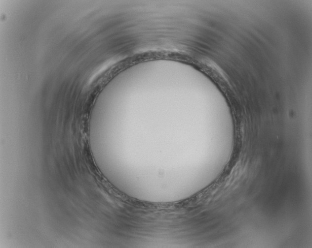 X0000060801064200511241904