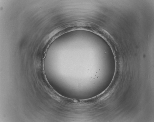 X0000060801065200511241904