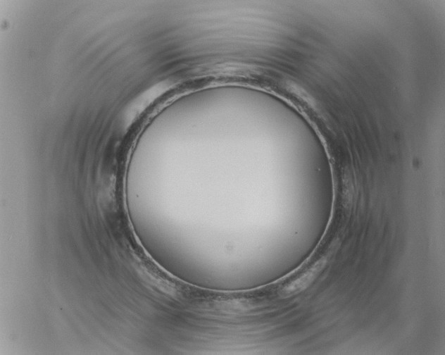 X0000060801066200511241904