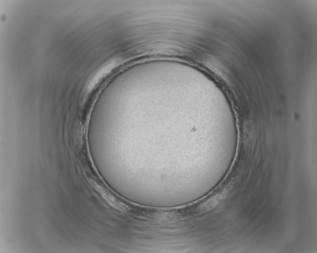 X0000060801067200511241904