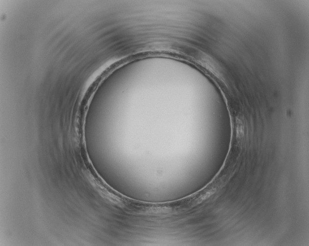 X0000060801068200511241904