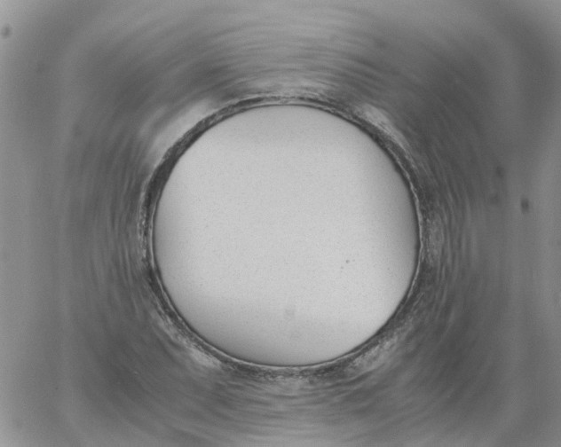 X0000060801071200511241904