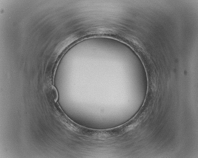 X0000060801073200511241904