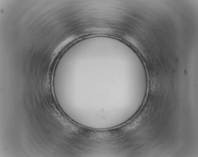 X0000060801074200511241904