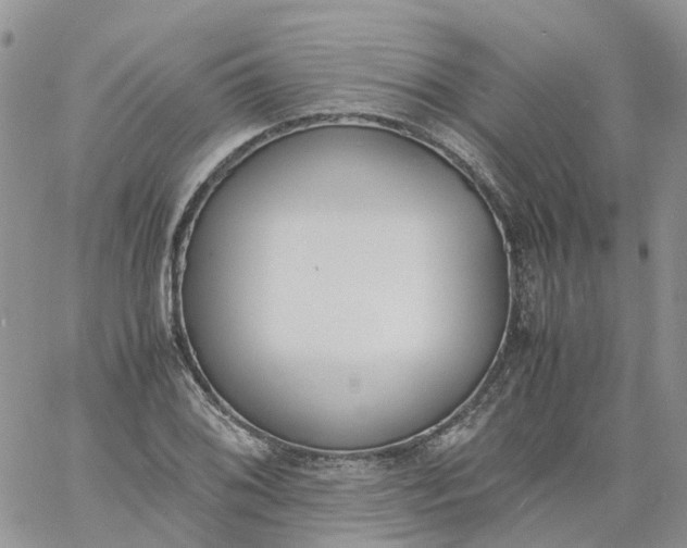 X0000060801076200511241904