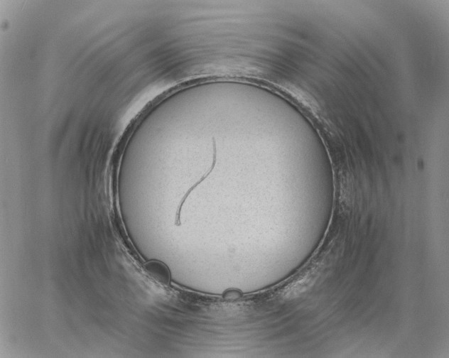 X0000060801078200511241904