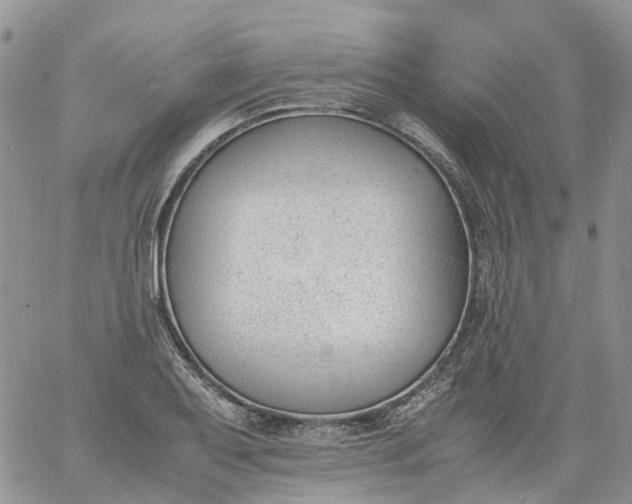 X0000060801079200511241904