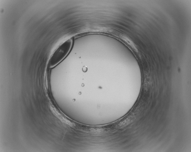 X0000060801080200511241904