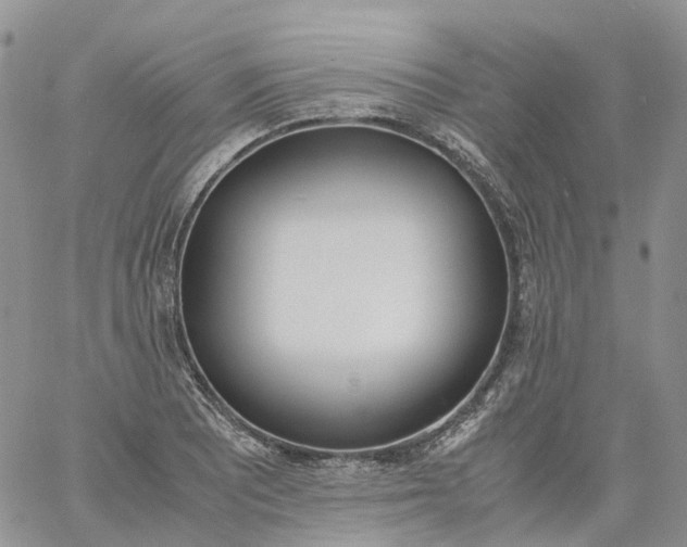 X0000060801081200511241904