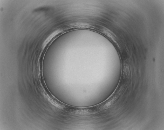 X0000060801082200511241904