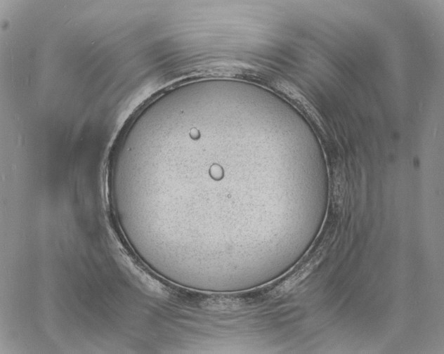 X0000060801083200511241904