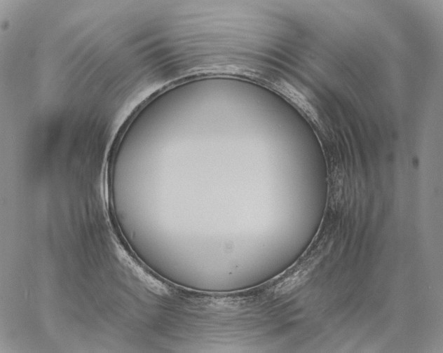 X0000060801084200511241904