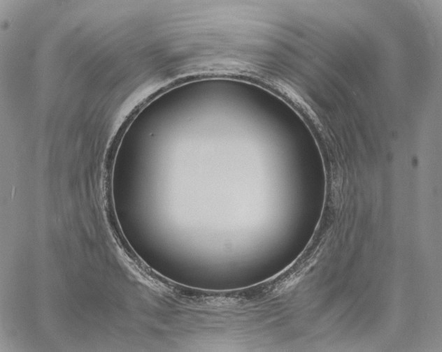 X0000060801085200511241904