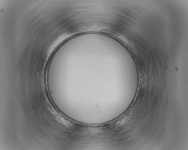 X0000060801086200511241904