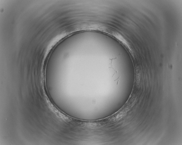 X0000060801088200511241904