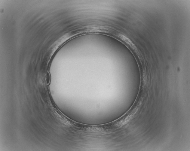 X0000060801089200511241904