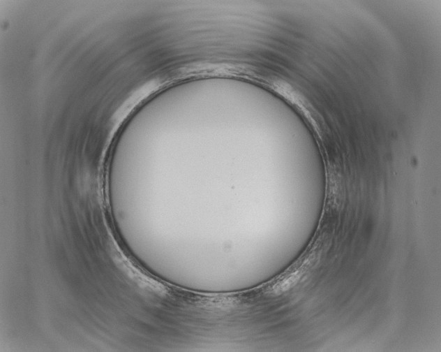 X0000060801090200511241904