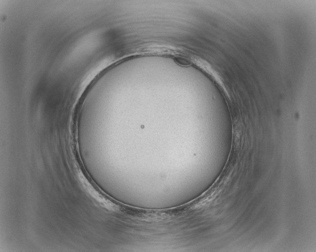 X0000060801091200511241904