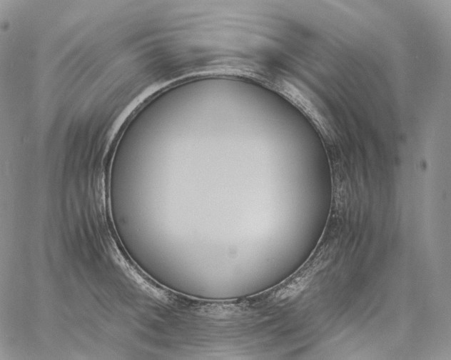 X0000060801092200511241904